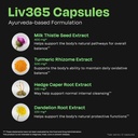 auric-herbal-liver-support-supplement-mi-2.jpg