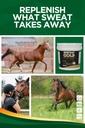 trm-everyday-gold-electrolyte-horse-supp-5.jpg