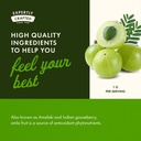swanson-full-spectrum-amla-fruit-indian--5.jpg