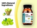 dr-wakde-s-amla-capsules-amalaki-indian--5.jpg