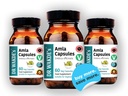 dr-wakde-s-amla-capsules-amalaki-indian--6.jpg