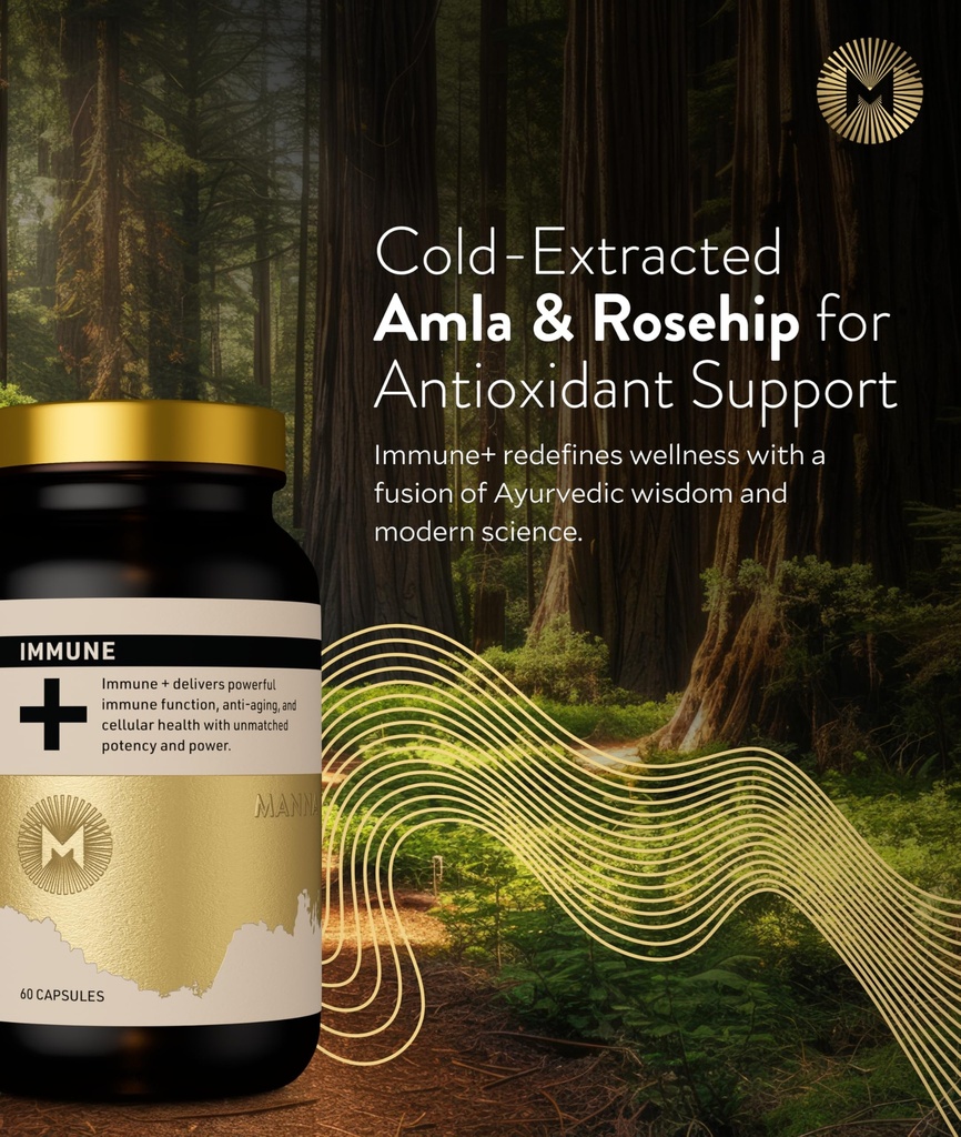 manna-immune-capsules-500mg-amla-extract-2.jpg