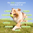 native-pet-the-daily-dog-vitamins-supple-2.jpg