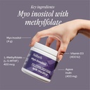 holiherb-myo-inositol-methylfolate-suppl-2.jpg