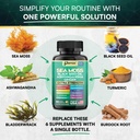 cortisol-myo-inositol-collagen-sea-moss--5.jpg