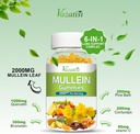 mullein-gummies-mullein-leaf-extract-wit-2.jpg
