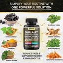 shilajit-nad-bundle-adaptogen-cellular-e-4.jpg