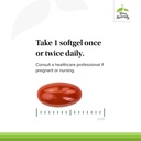 terry-naturally-boswellia-plus-frankince-4.jpg