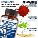 astaxanthin-15mg-panax-ginseng-ginkgo-bi-2.jpg