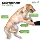 deley-naturals-dog-uti-chews-vet-grade-c-3.jpg