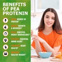 zammex-organic-pea-protein-powder-26g-pr-3.jpg
