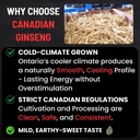 canadian-ginseng-capsules-500mg-panax-qu-3.jpg
