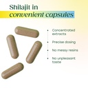 megafood-shilajit-10-000mg-with-fulvic-a-6.jpg