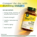 megafood-shilajit-10-000mg-with-fulvic-a-3.jpg
