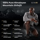 pure-himalayan-shilajit-gummies-with-gin-3.jpg