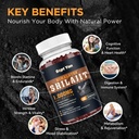 shilajit-gummies-1000mg-shilajit-pure-hi-3.jpg