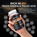 shilajit-gummies-1000mg-shilajit-pure-hi-4.jpg