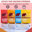 mammoth-bar-variety-pack-10-organic-prot-3.jpg