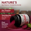 nautical-elements-beet-juice-powder-orga-4.jpg