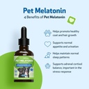 pet-wellbeing-pet-melatonin-for-dogs---s-4.jpg