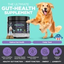 googipet-probiotics-for-dogs-digestive-h-3.jpg