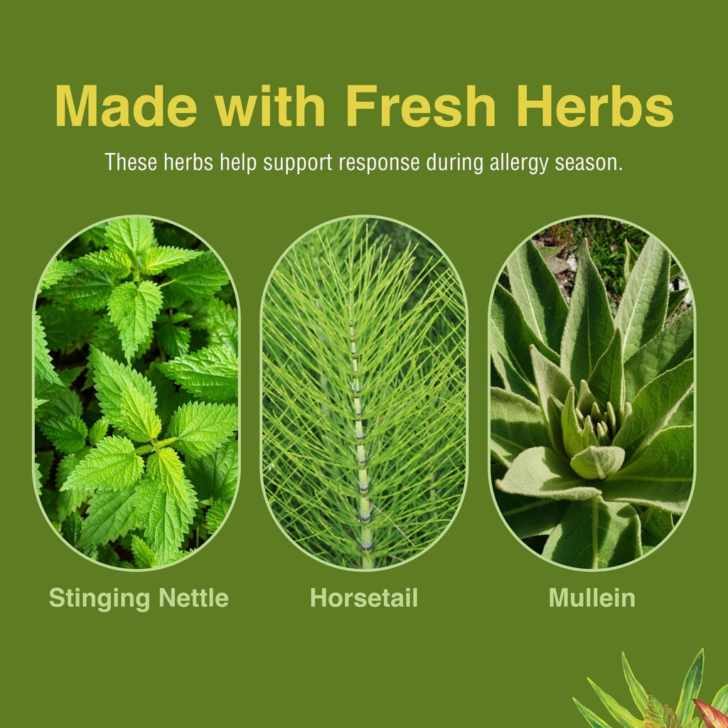 herbs-etc-allergy-releaf-system-seasonal-6.jpg