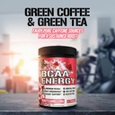 evlution-evl-bcaas-amino-acids-powder-bc-2.jpg