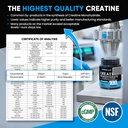 venture-pal-micronized-creatine-monohydr-6.jpg