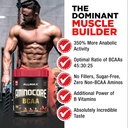 allmax-nutrition-aminocore-bcaa-powder-8-4.jpg