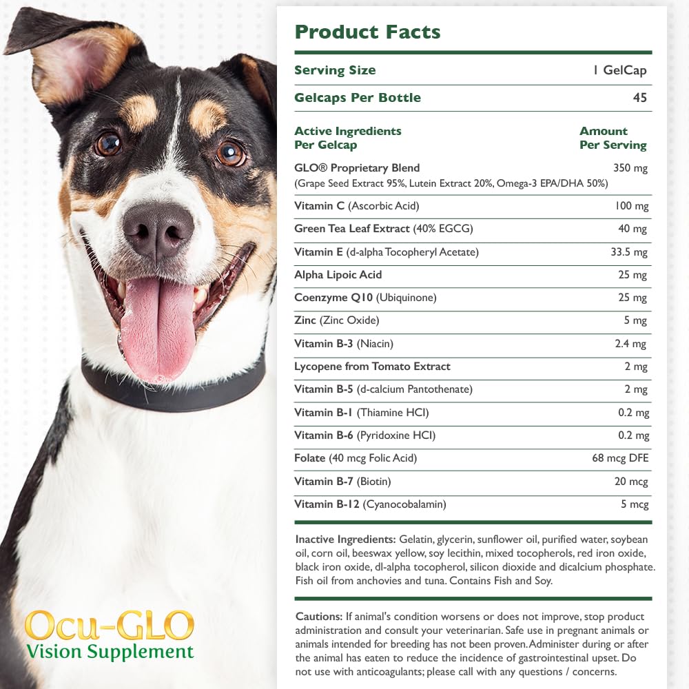 ocu-glo-vision-supplement-for-medium-to--3.jpg