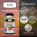 kaya-naturals-berberine-hcl-extract-1200-4.jpg
