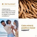 sandhuherbals-ashwagandha-supplement-60--4.jpg