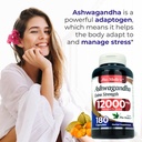 fito-medic-s-lab-ashwagandha-ashwagandha-4.jpg