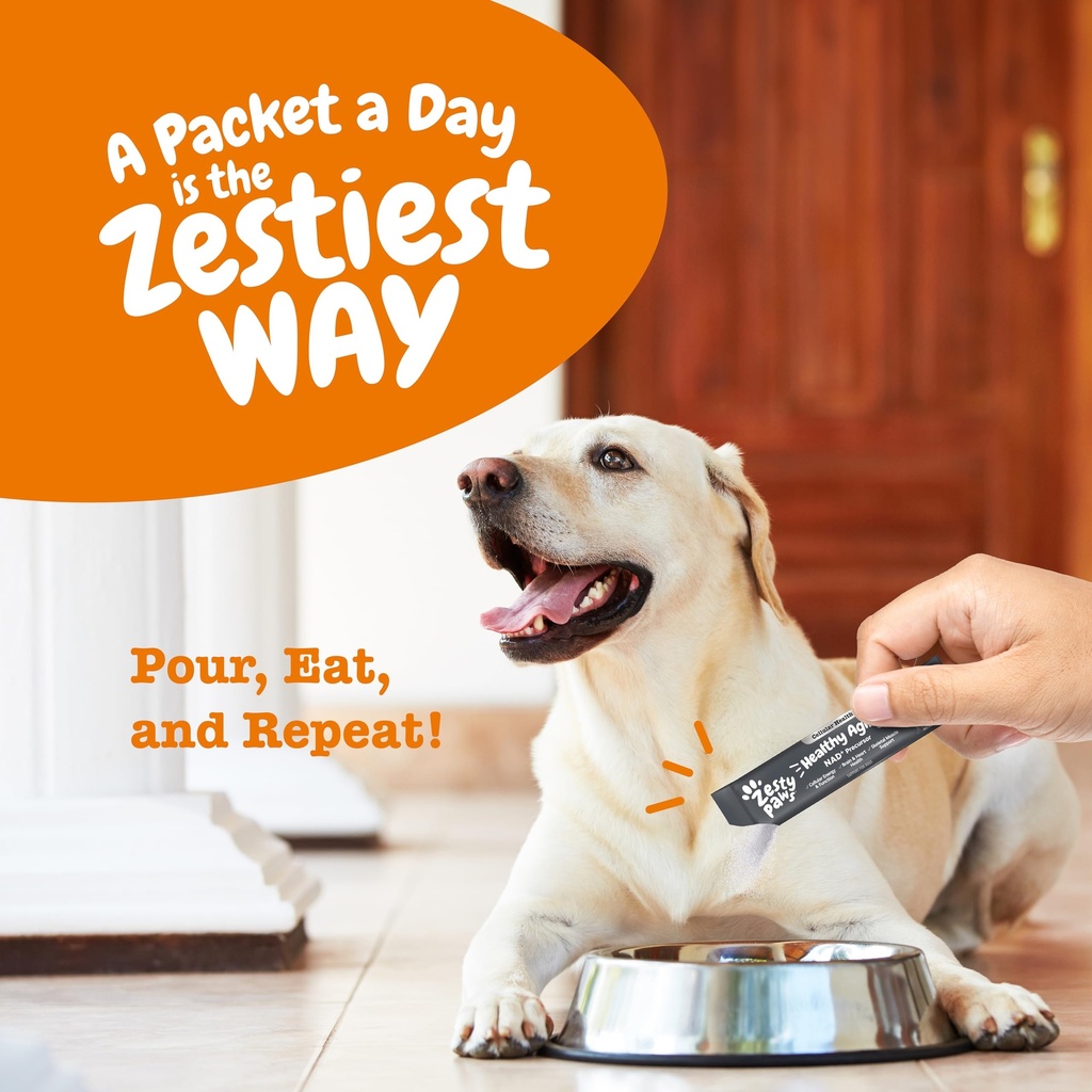 zesty-paws-nad-precursor-supplement-for--4.jpg