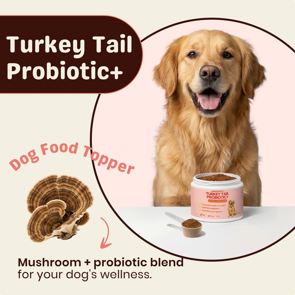turkey-tail-mushroom-for-dogs-turkey-tai-2.jpg