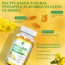 2-pack-9-in-1-mullein-gummies-for-lung-c-6.jpg