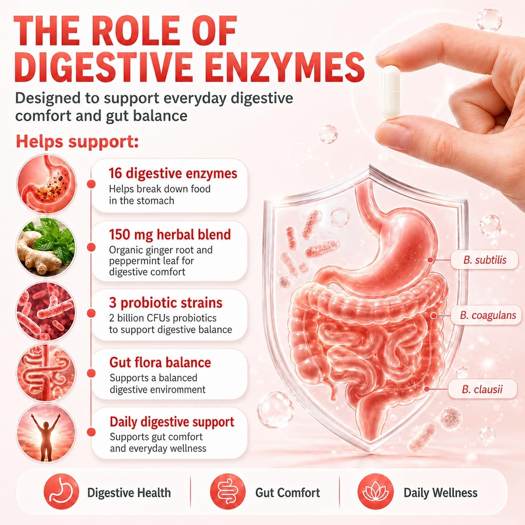 digestive-enzymes-multi-enzymes-organic--2.jpg