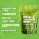 on-target-living-wheatgrass-tablets-500--3.jpg
