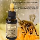 sunyata-brazilian-green-bee-propolis-liq-5.jpg