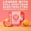gnarly-nutrition-hydrate-electrolyte-pow-4.jpg