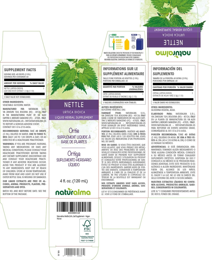 naturalma-nettle-urtica-dioica-leaf-and--2.jpg