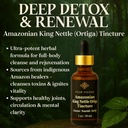 four-visions-stinging-nettle-tincture-ki-2.jpg