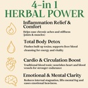 four-visions-stinging-nettle-tincture-ki-3.jpg