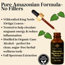 four-visions-stinging-nettle-tincture-ki-4.jpg
