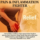 four-visions-stinging-nettle-tincture-ki-6.jpg