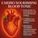four-visions-stinging-nettle-tincture-ki-5.jpg