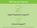 koyah-organic-stinging-nettle-leaf-capsu-6.jpg