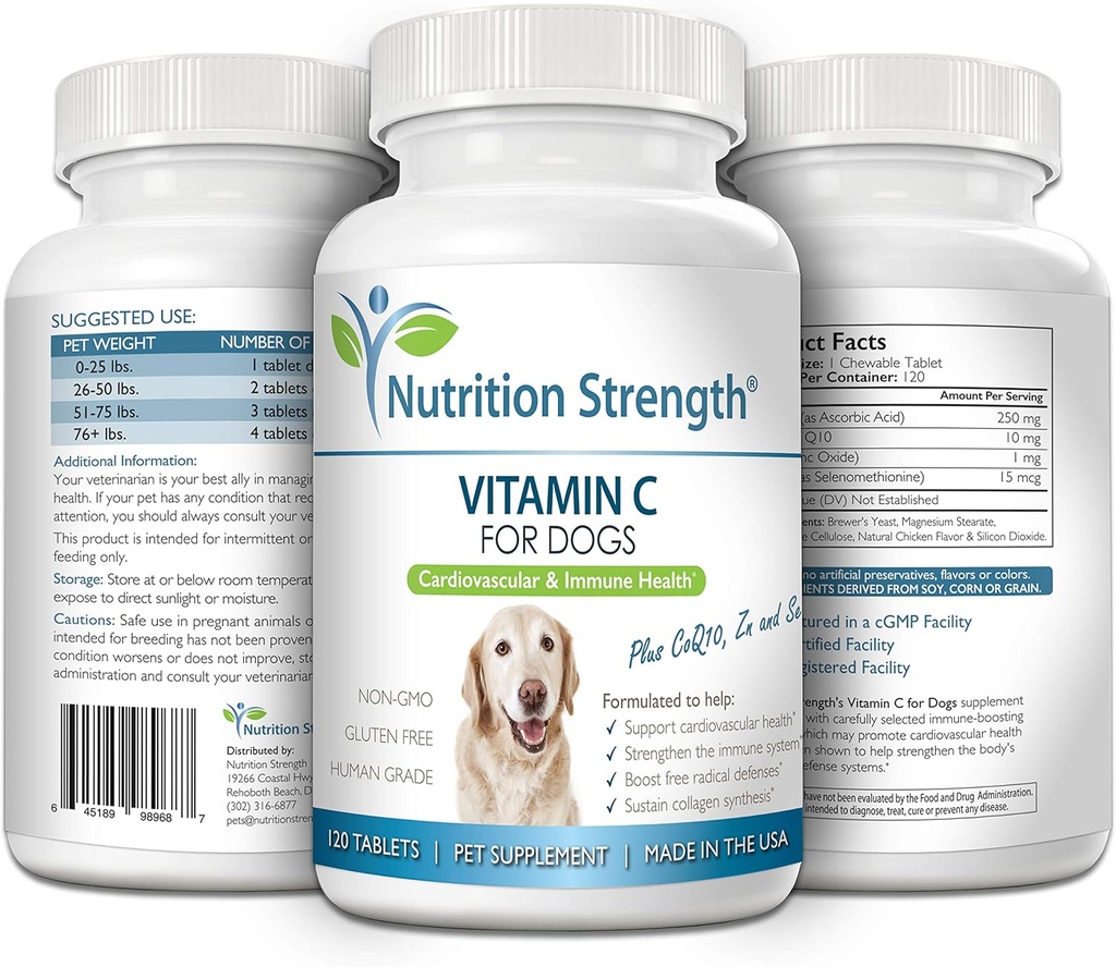 vitamin-c-for-dogs-to-support-cardiovasc-5.jpg