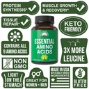 all-9-essential-amino-acids-supplement-c-3.jpg