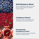 designs-for-health-phytobiome-polyphenol-5.jpg